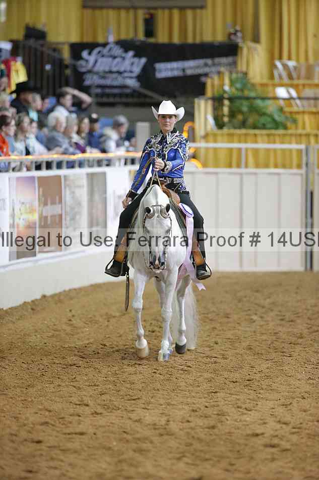 Proof 14usn_06714