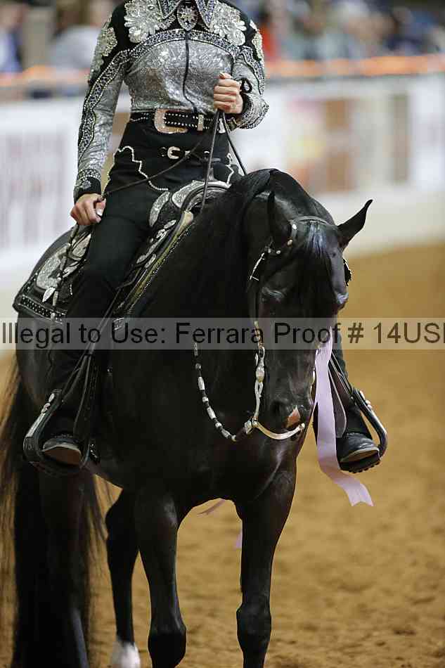 Proof 14usn_06720