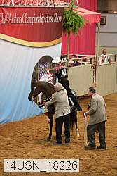 14usn_18226 proof