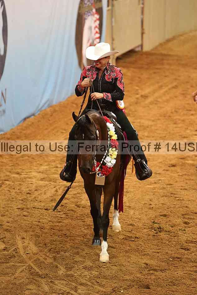 Proof 14usn_18242