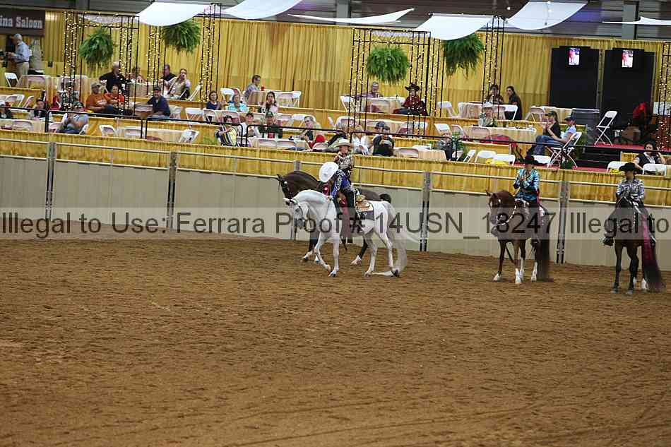 Proof 14usn_18247