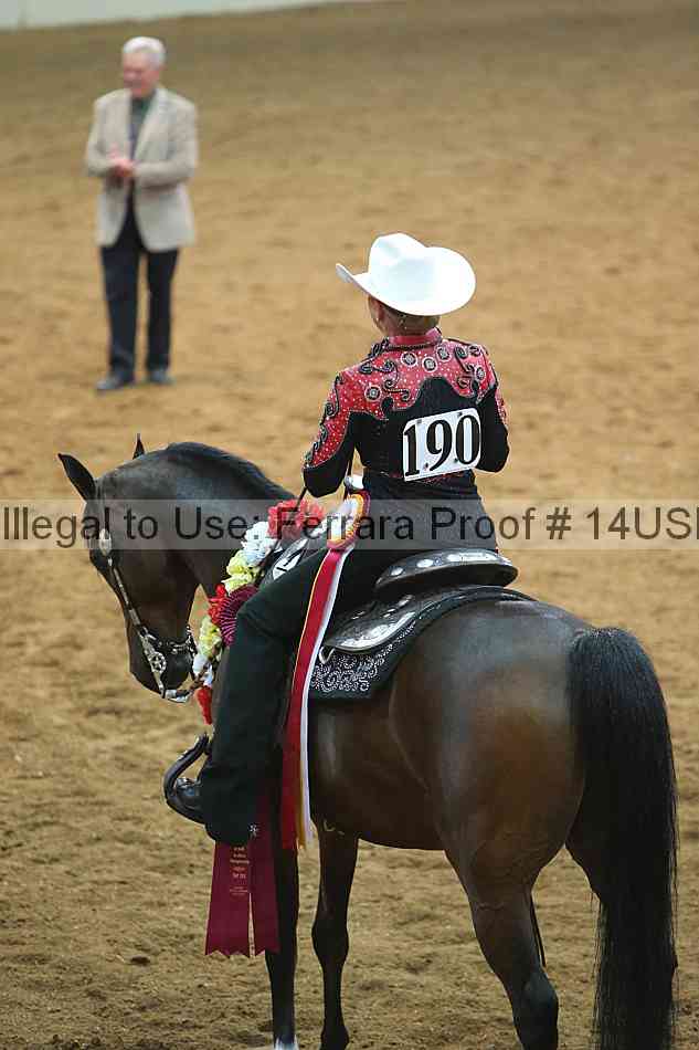 Proof 14usn_18271