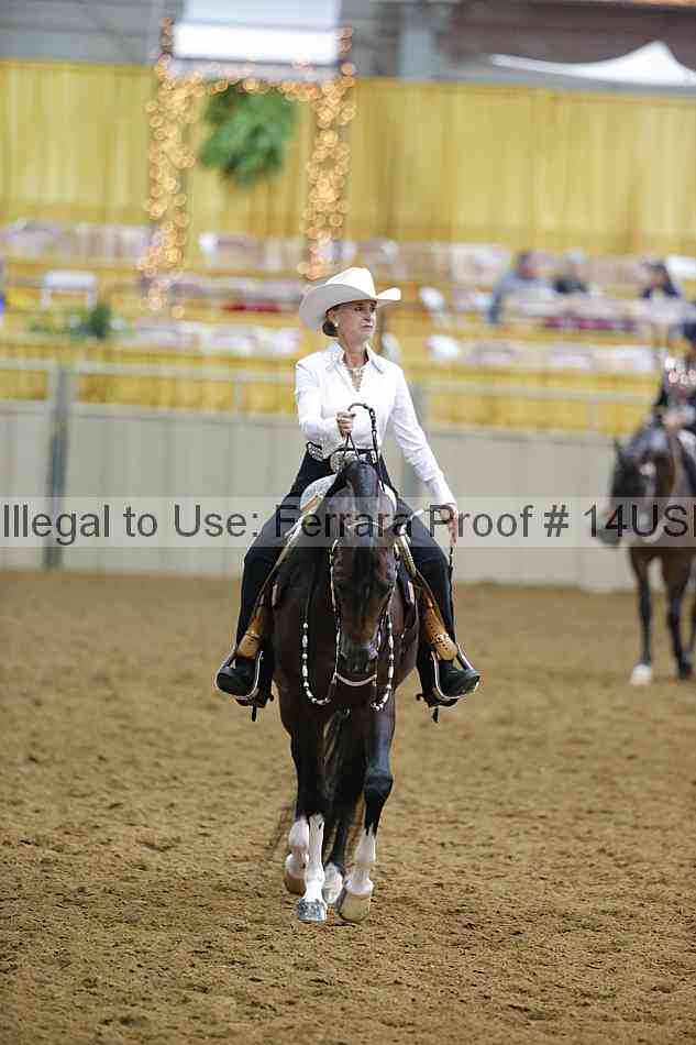 Proof 14usn_20031