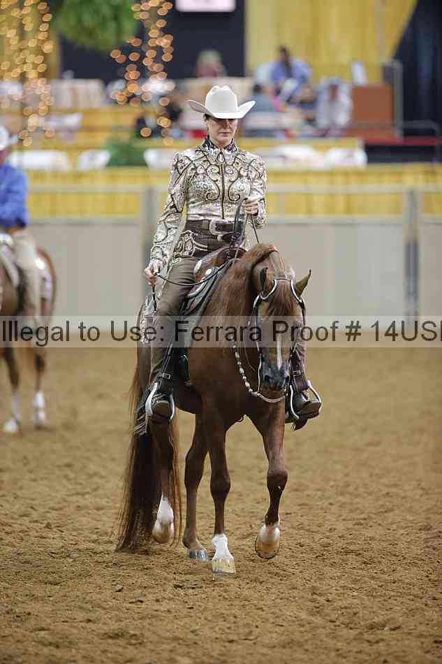 Proof 14usn_20065