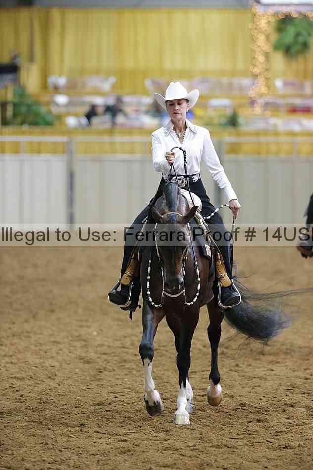 Proof 14usn_20068