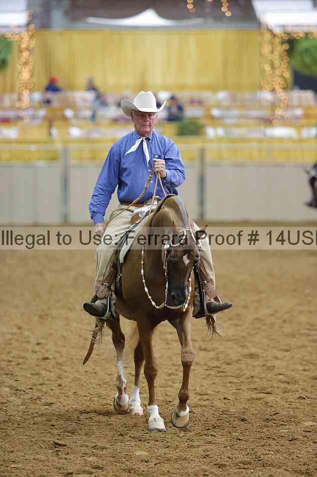 Proof 14usn_20072