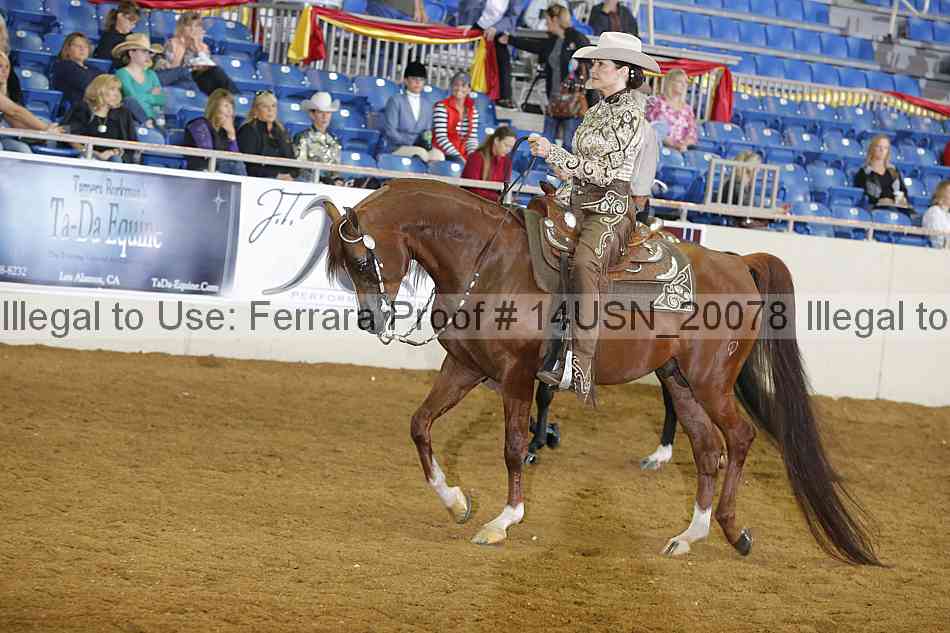 Proof 14usn_20078