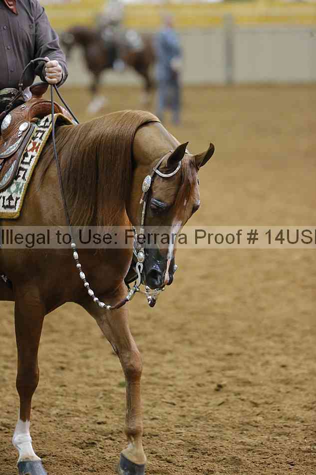 Proof 14usn_20088