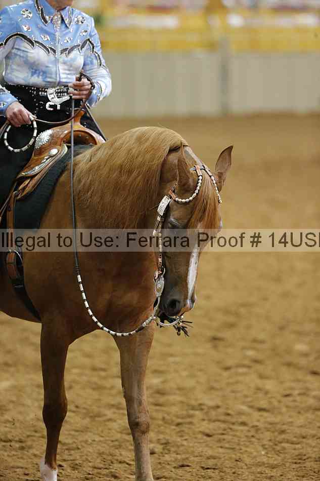 Proof 14usn_20093