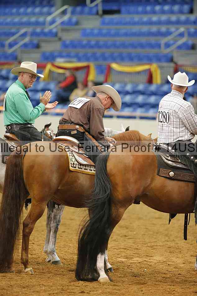 Proof 14usn_20096