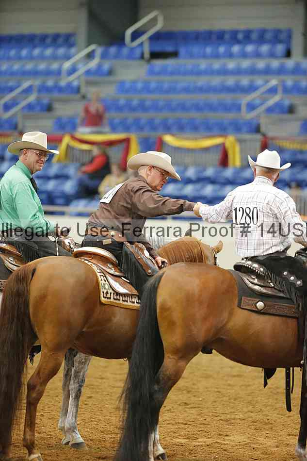Proof 14usn_20099