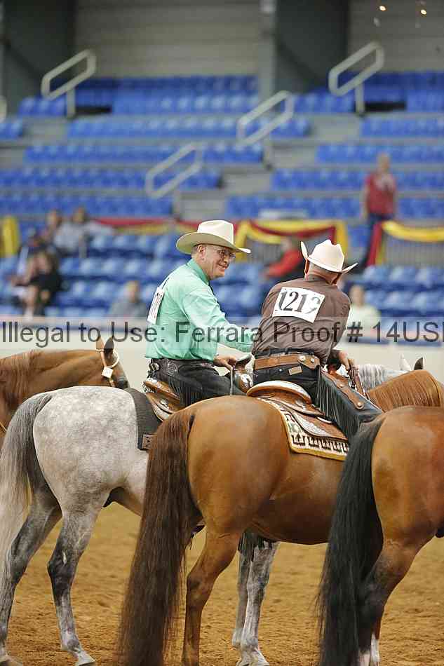 Proof 14usn_20100