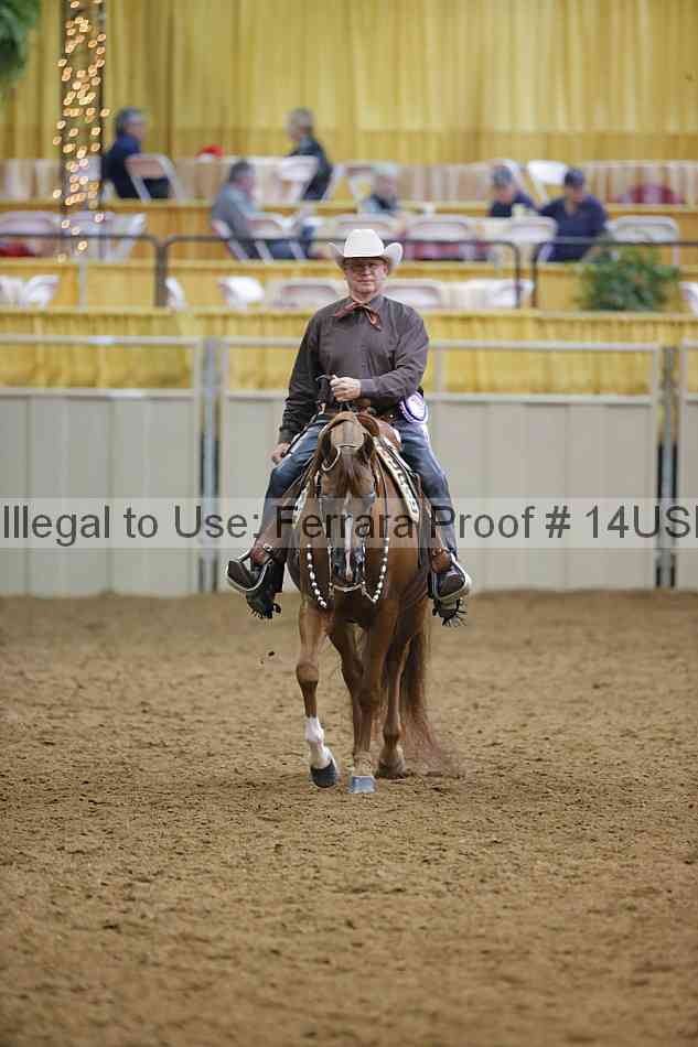 Proof 14usn_20101