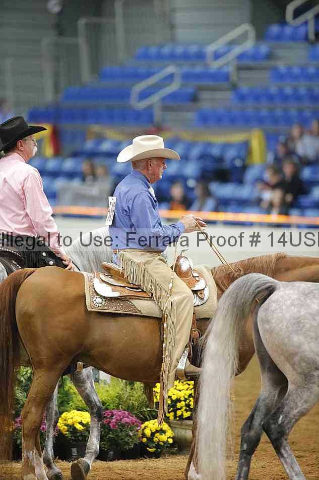 Proof 14usn_20105
