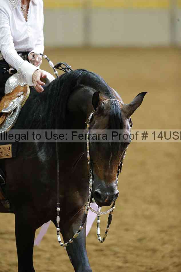 Proof 14usn_20130