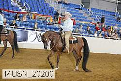 14usn_20200 proof