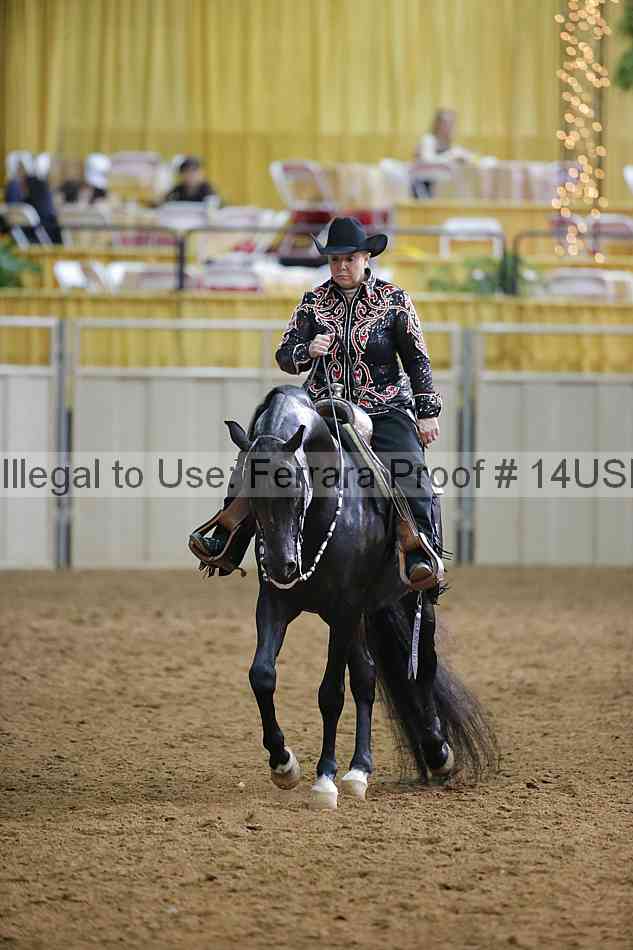 Proof 14usn_20207