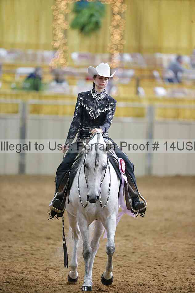 Proof 14usn_20228