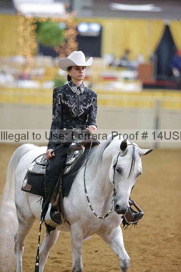 Proof 14usn_20231