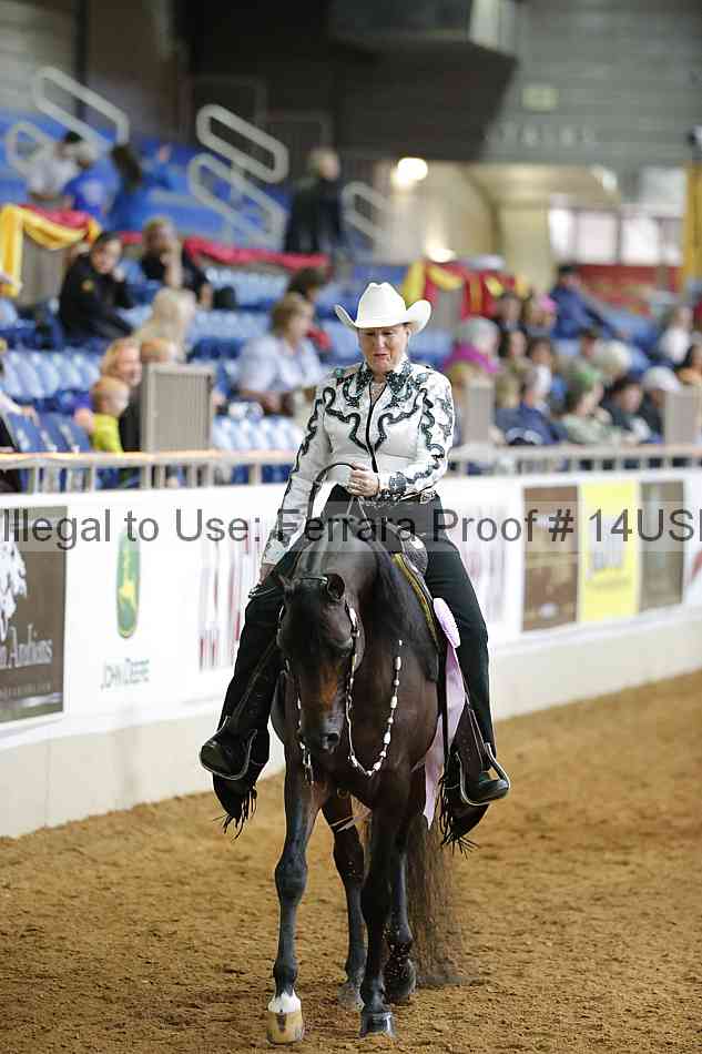 Proof 14usn_20253