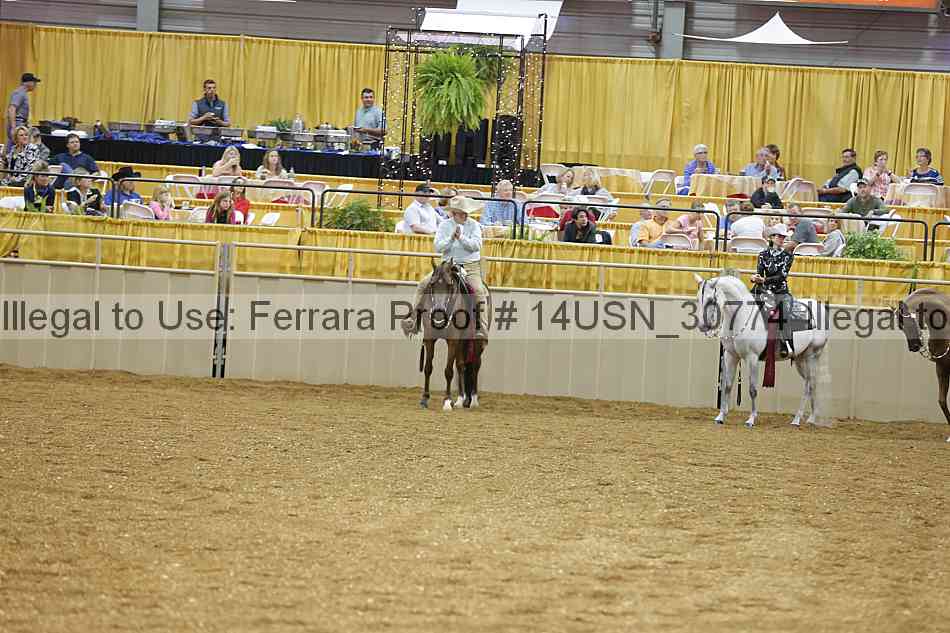 Proof 14usn_30774