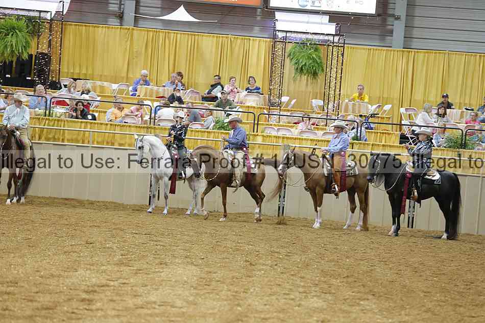Proof 14usn_30775