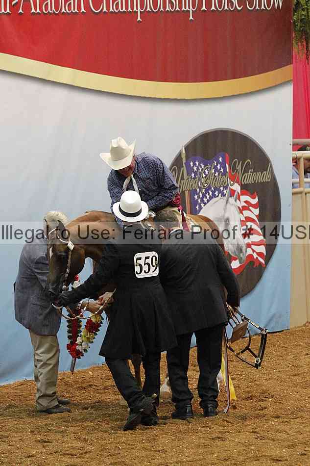 Proof 14usn_30794