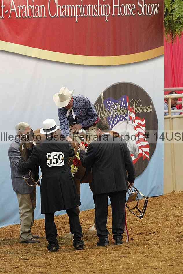 Proof 14usn_30796