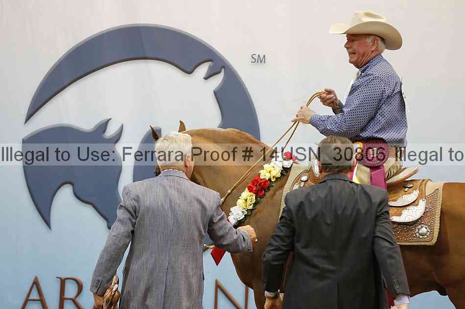 Proof 14usn_30806