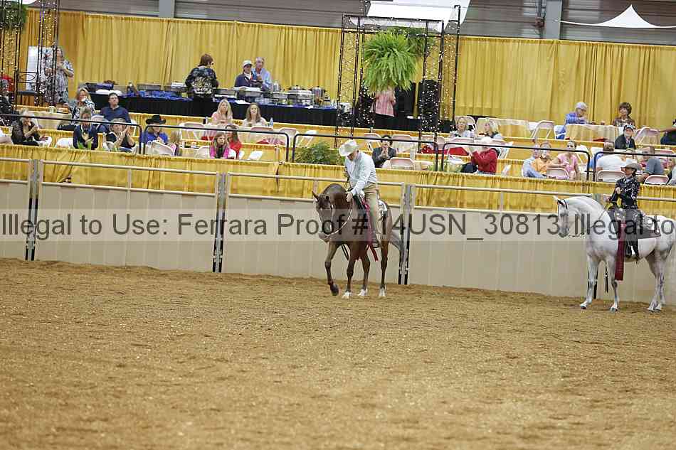 Proof 14usn_30813