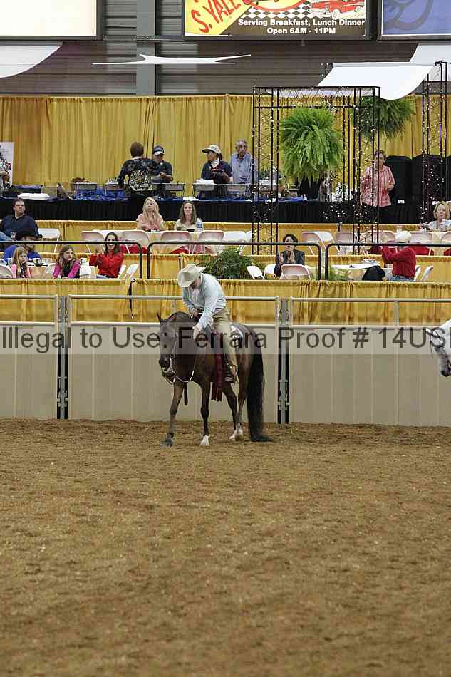 Proof 14usn_30817