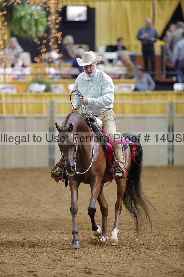 Proof 14usn_30819