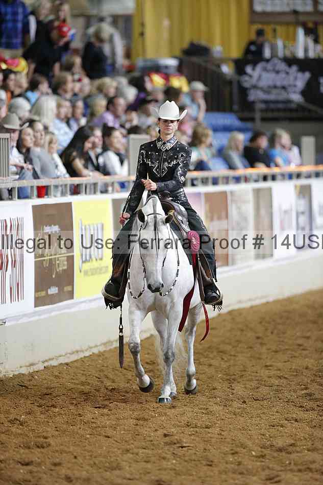 Proof 14usn_30854