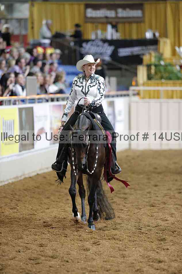 Proof 14usn_30867