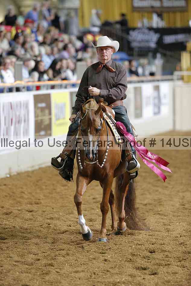 Proof 14usn_30881