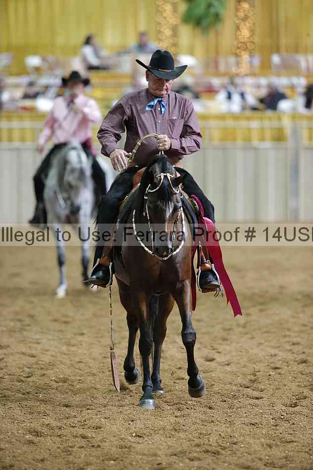 Proof 14usn_30900