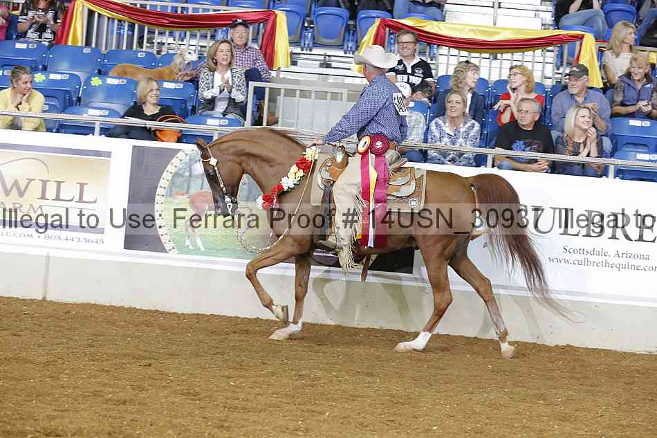 Proof 14usn_30937