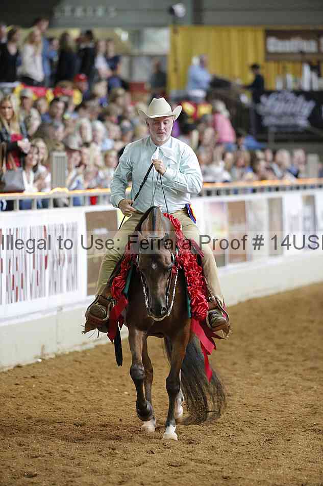 Proof 14usn_30945
