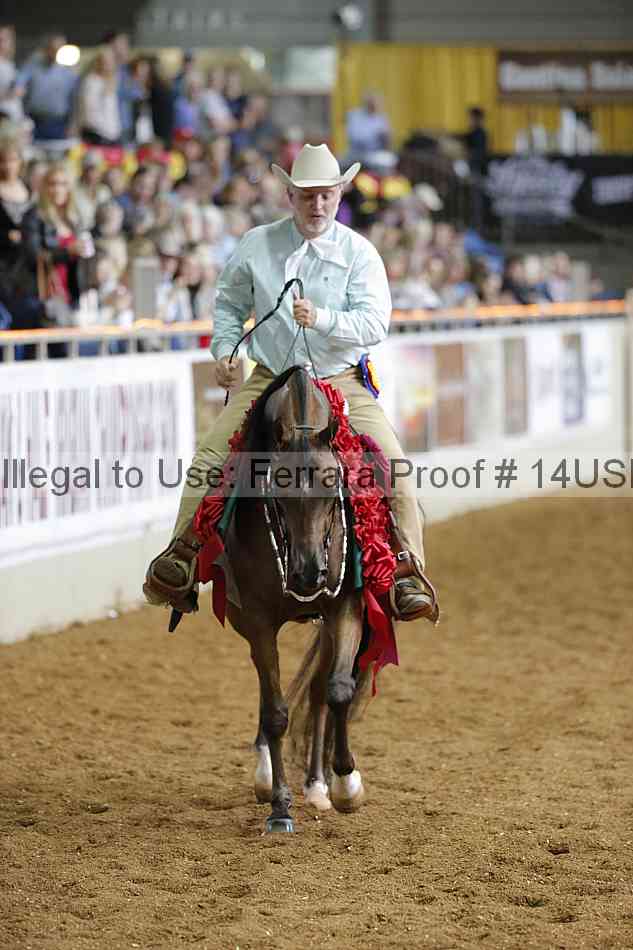 Proof 14usn_30948