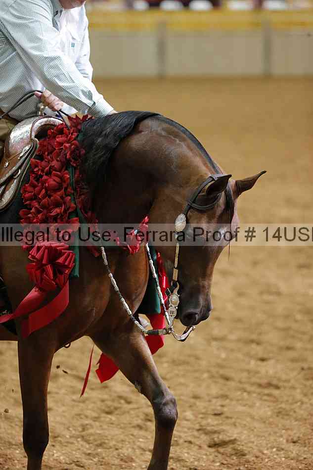 Proof 14usn_30957