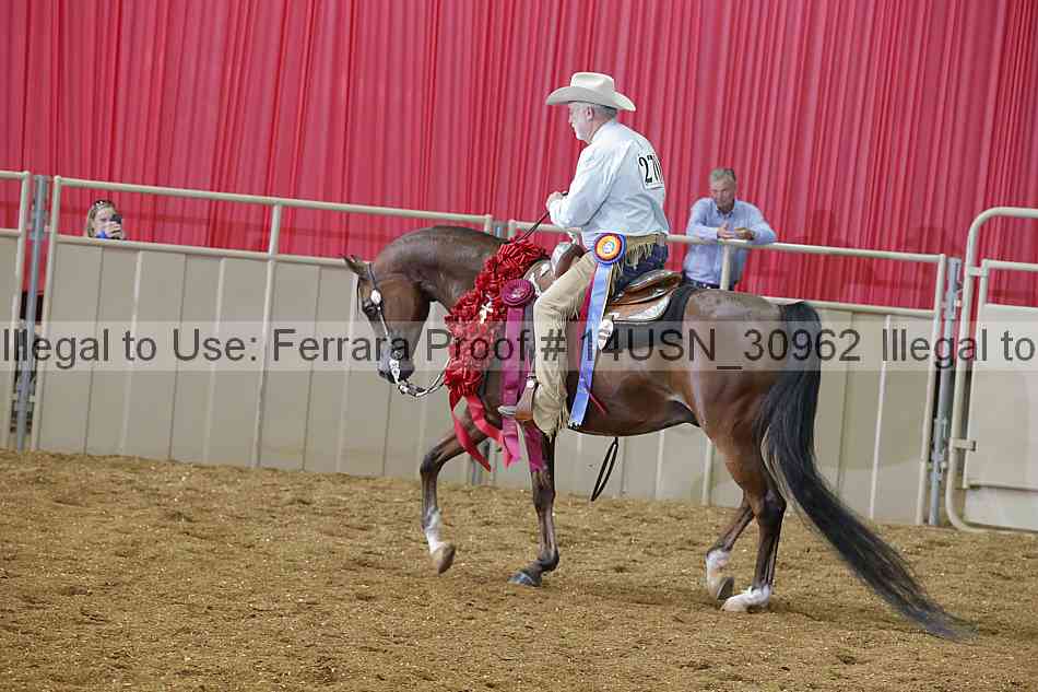 Proof 14usn_30962