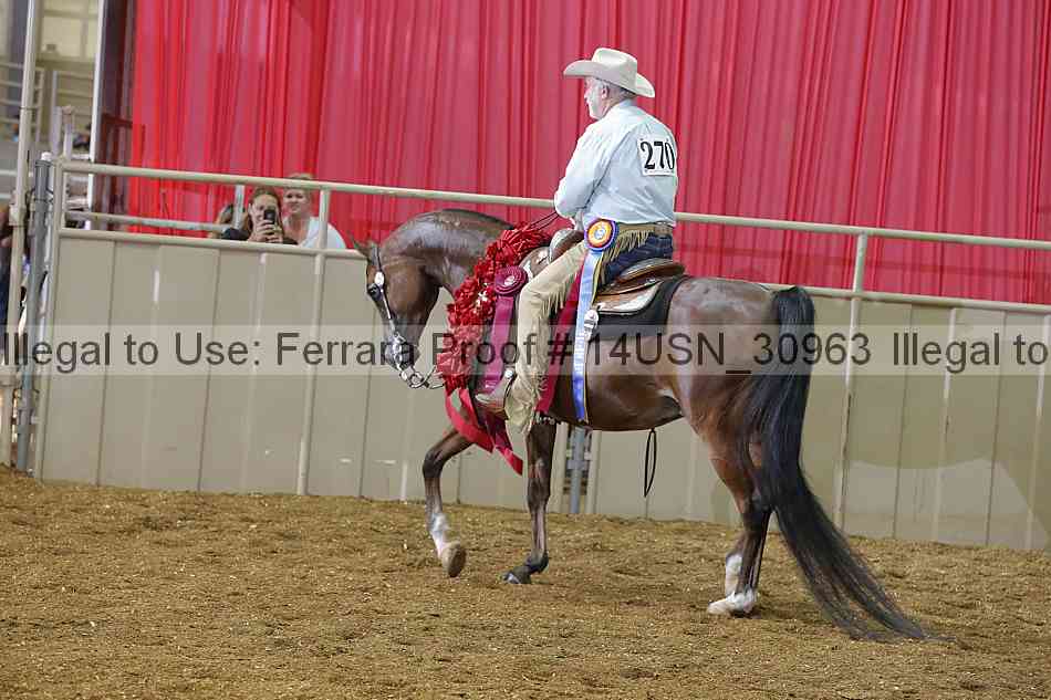 Proof 14usn_30963