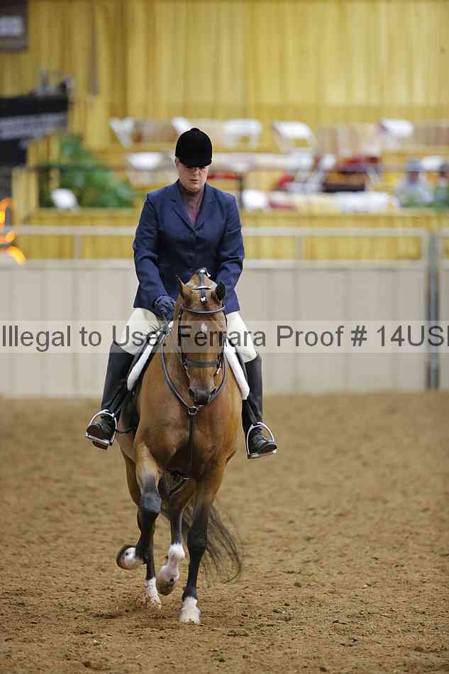 Proof 14usn_13511