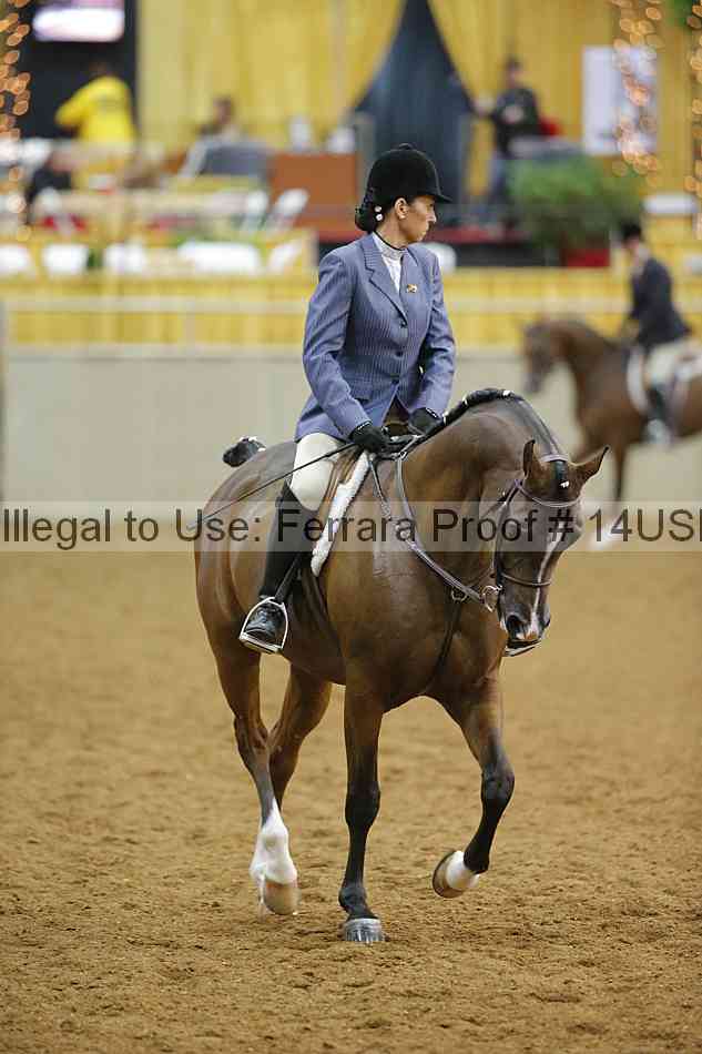 Proof 14usn_13519