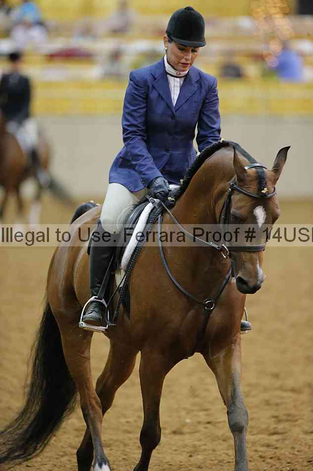 Proof 14usn_13531