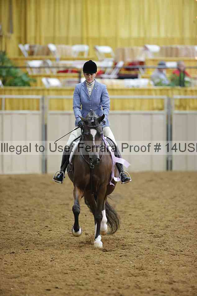 Proof 14usn_13554