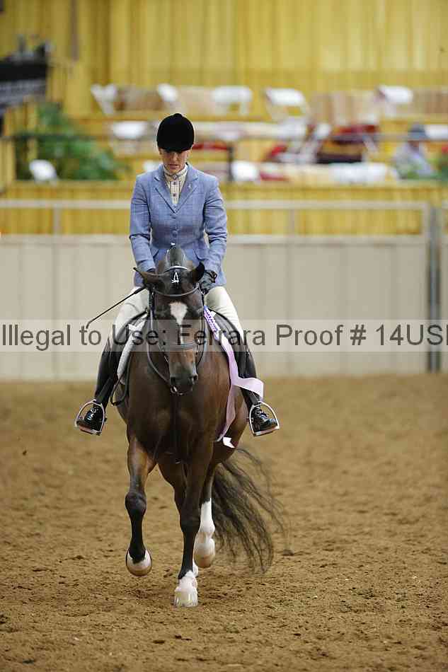 Proof 14usn_13555