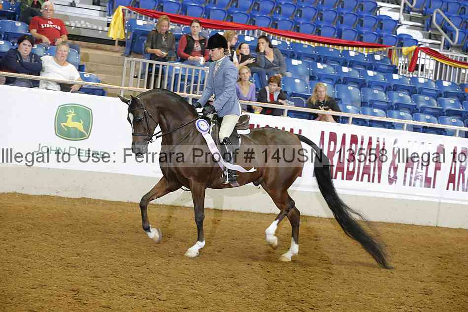 Proof 14usn_13558