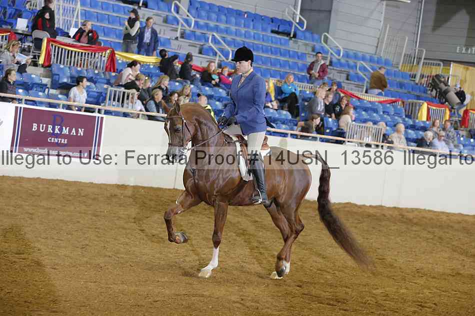 Proof 14usn_13586