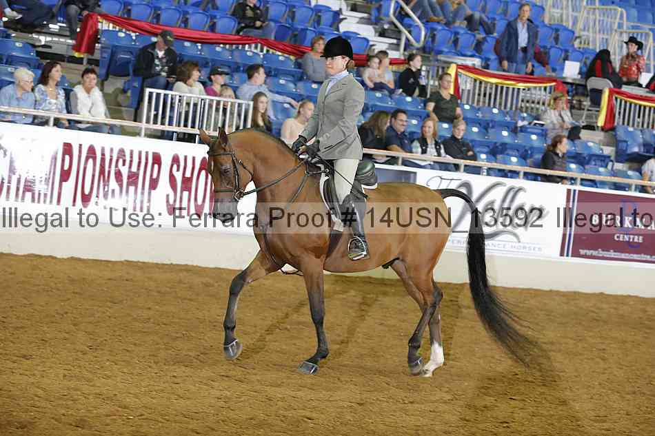 Proof 14usn_13592